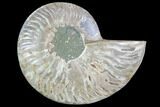 Agatized Ammonite Fossil (Half) - Madagascar #88236-1